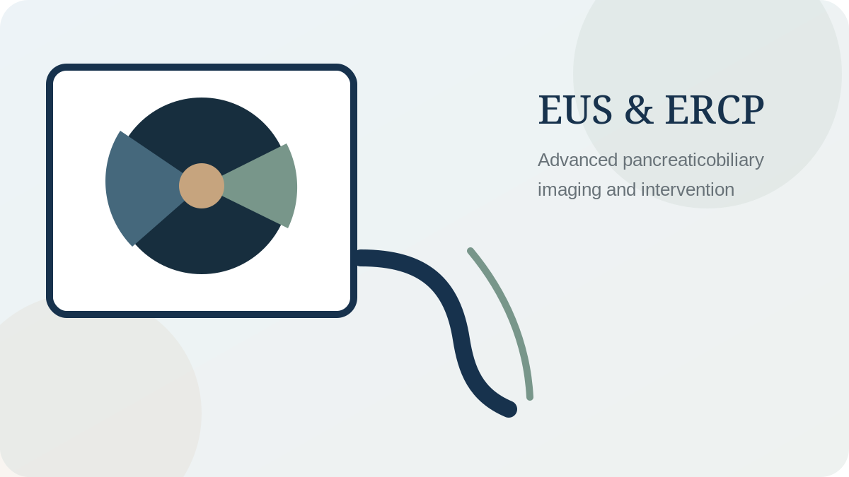 Stylised EUS and ERCP equipment
