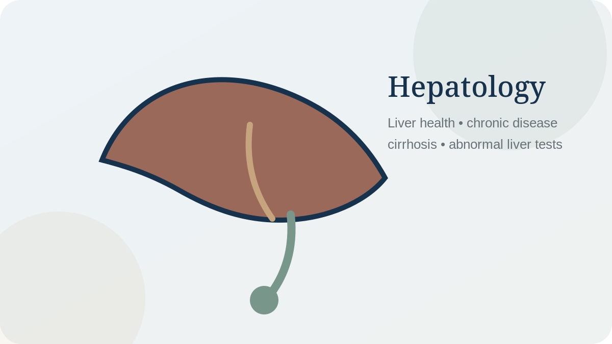 Stylised liver anatomy