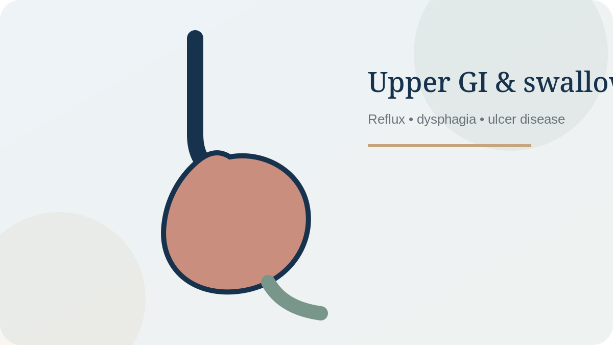 Stylised upper gastrointestinal anatomy